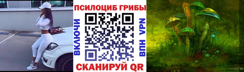 Галлюциногенные грибы Psilocybine cubensis дарнет шоп Полысаево