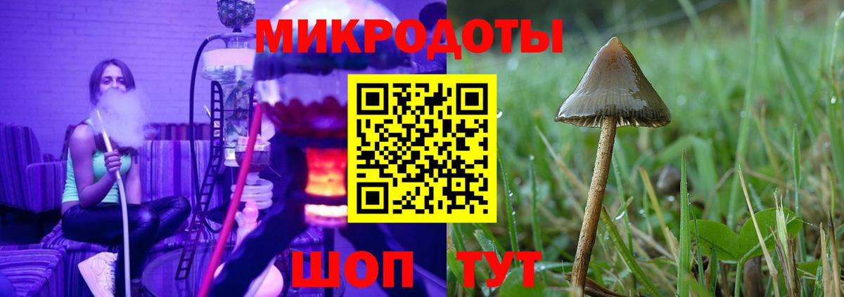 Галлюциногенные грибы мицелий  Галлюциногенные грибы мицелий  Вход с VPN  Полысаево 